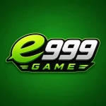 E999 Game- logo image (1)