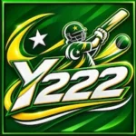 Y222 Game – logo image