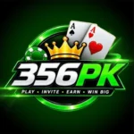 356PK Game – logo image